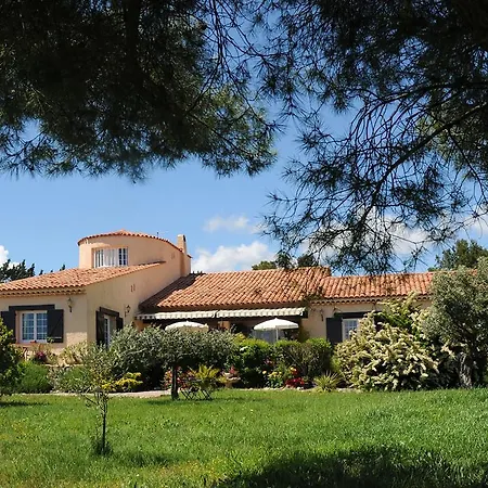 Guest house 